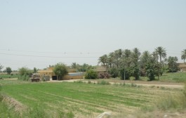 الارض تمنح خيراتها